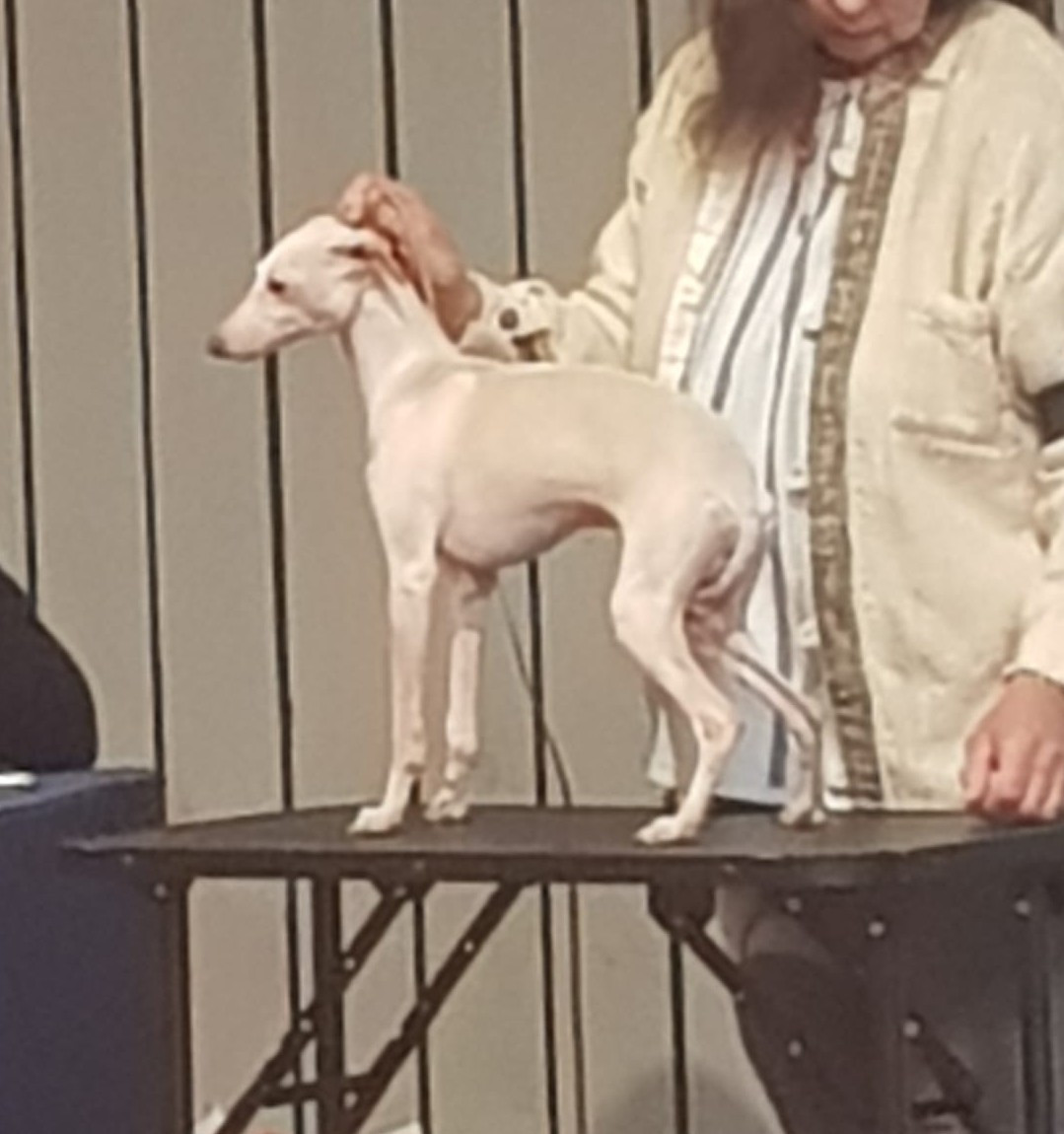 Vox Deï de La Ribière des Brumes De La Ribière Des Brumes